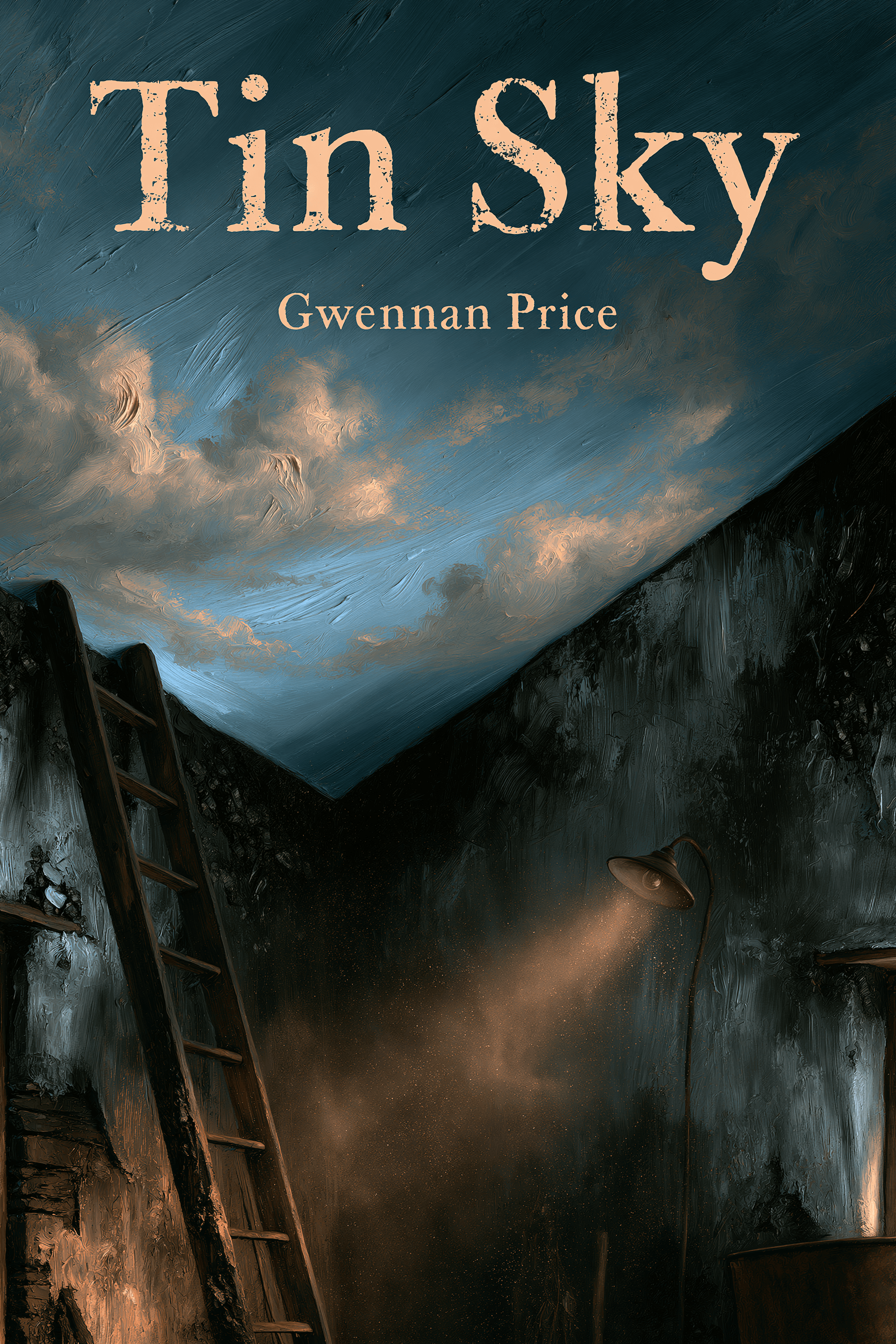 Tin Sky — Gwennan Price